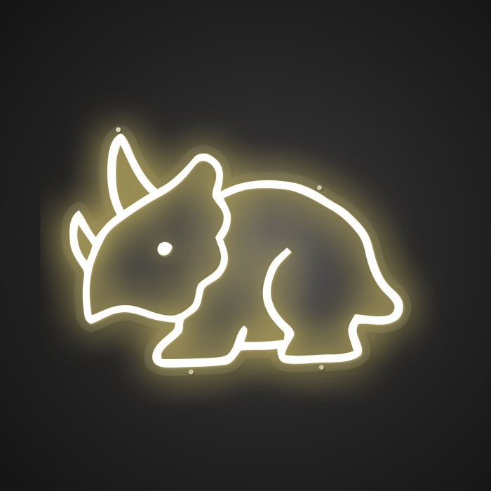 Shimmering Neon Frilled Wonder Showcase