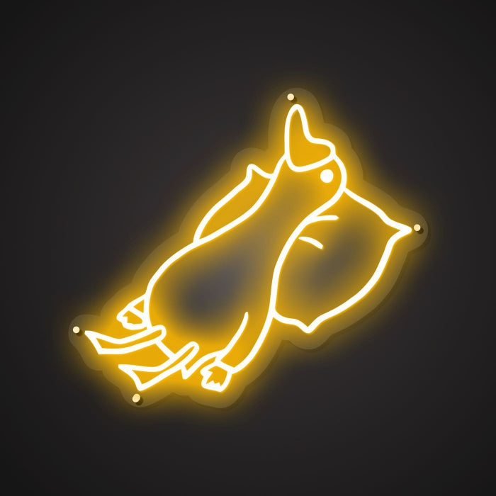 sleeping-duck-home-vibe-neon-sign