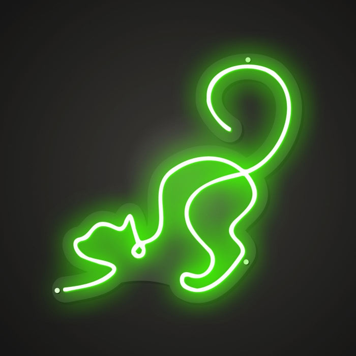 cat-colorful-neon-sign