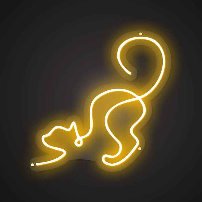 cat-fun-neon-sign