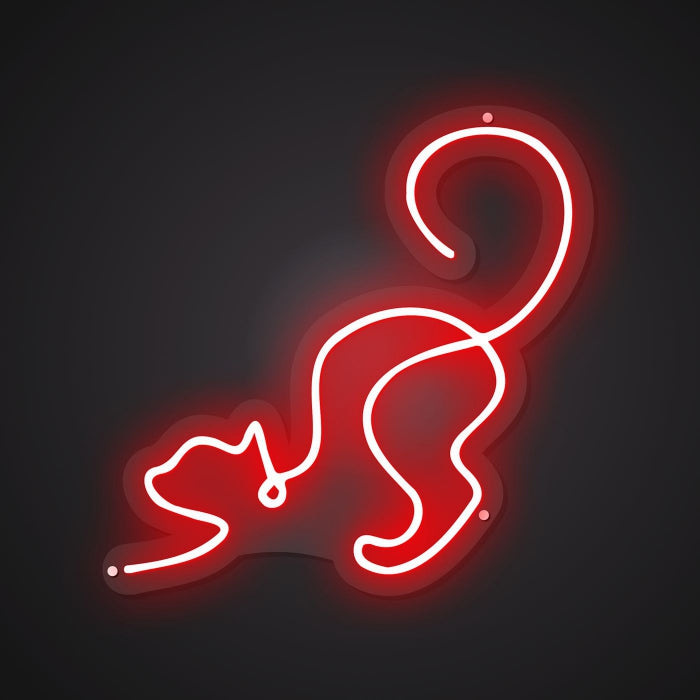 cat-bright-neon-sign