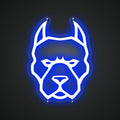 dog-home-vibe-neon-sign