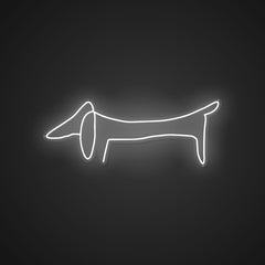 Glowing Neon Long-bodied Wonder Display